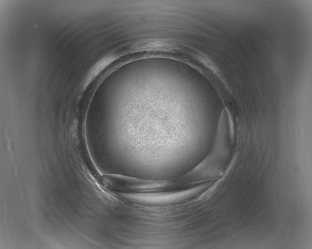 X0000081581066200701151237