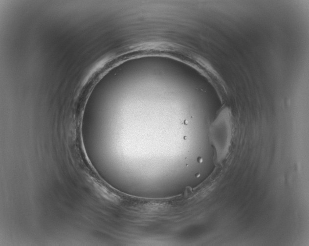 X0000081581067200701151237