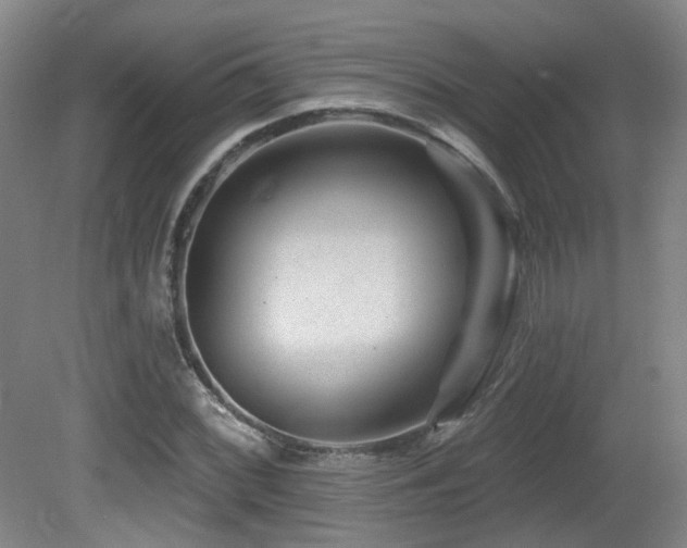 X0000081581068200701151237