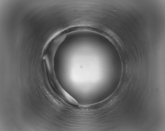 X0000081581069200701151237