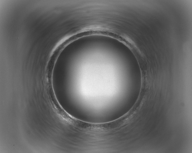 X0000081581070200701151237