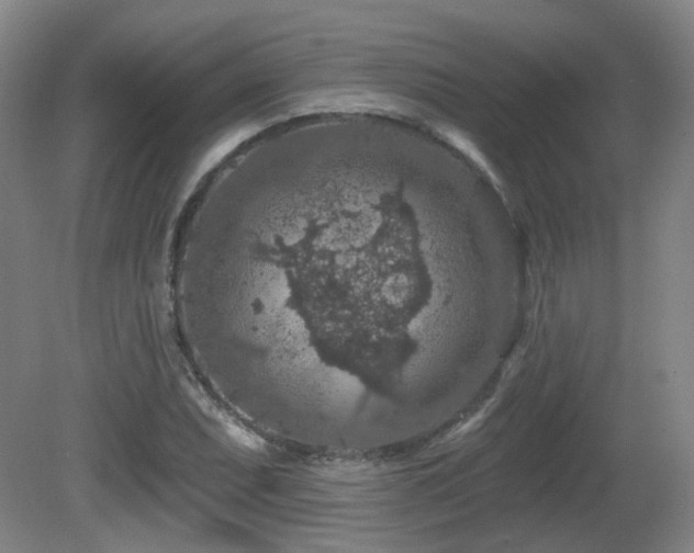 X0000081581071200701151237