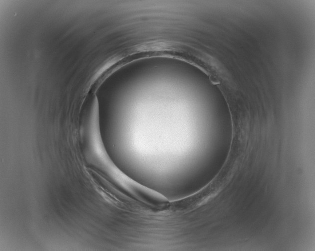 X0000081581073200701151237