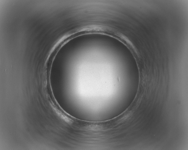 X0000081581075200701151237