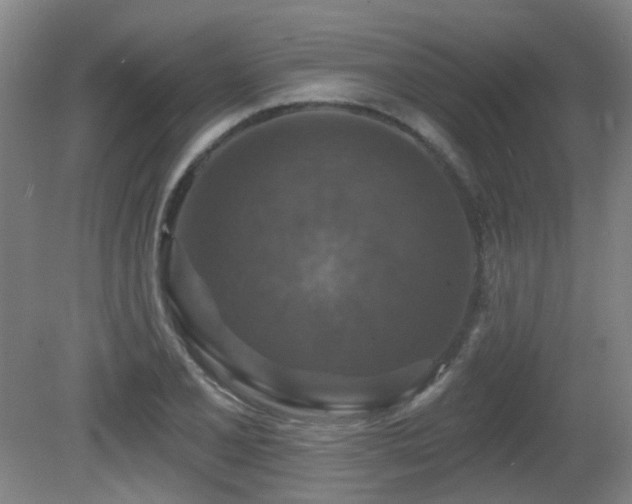 X0000081581077200701151237