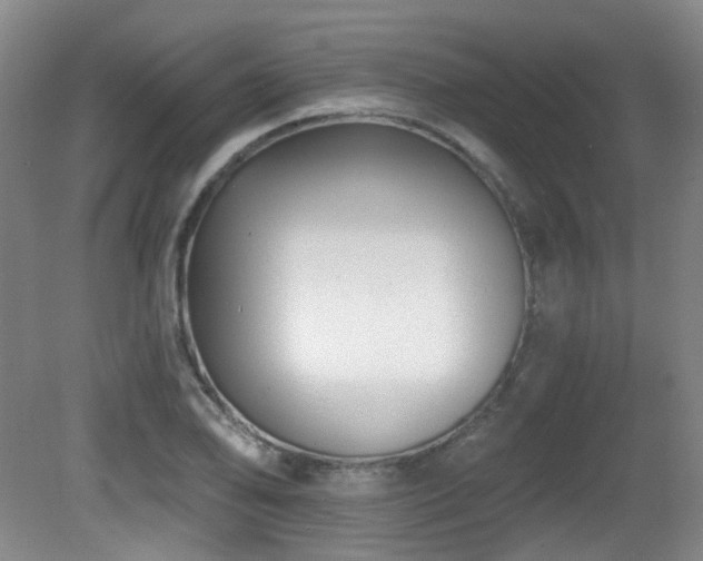 X0000081581078200701151237