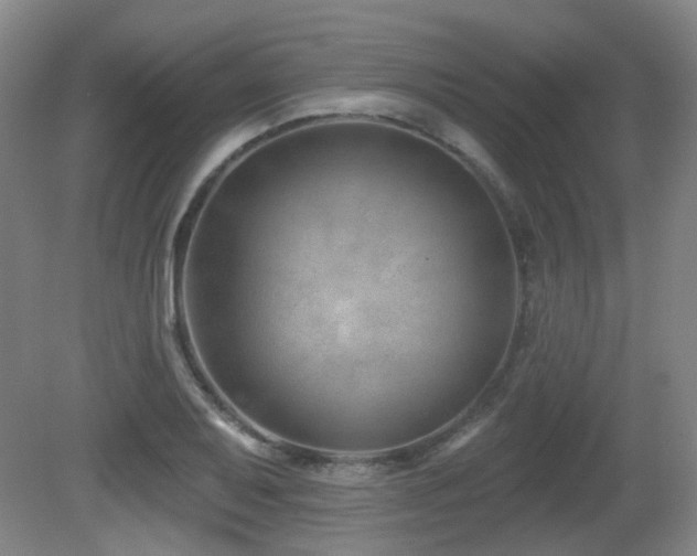 X0000081581079200701151237