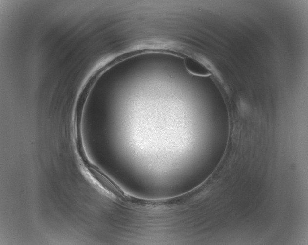 X0000081581080200701151237