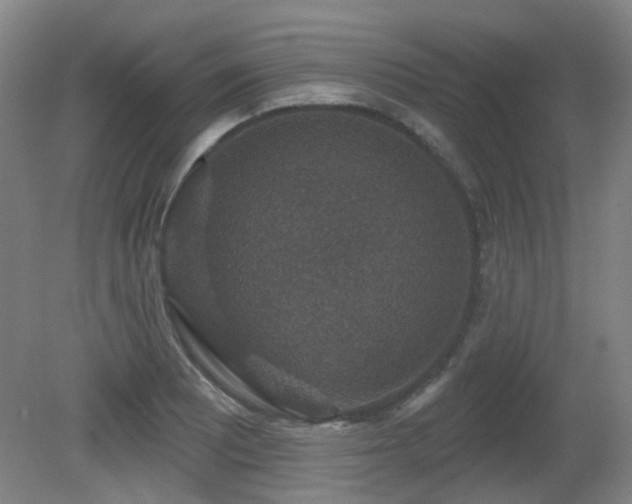 X0000081581081200701151237