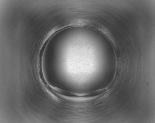 X0000081581083200701151237