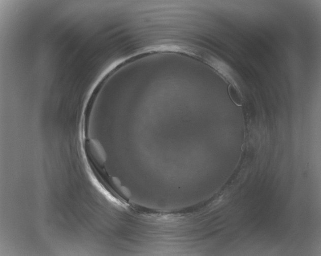 X0000081581084200701151237