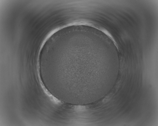 X0000081581088200701151236