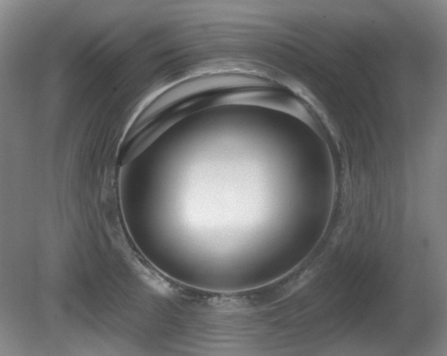 X0000081581089200701151236