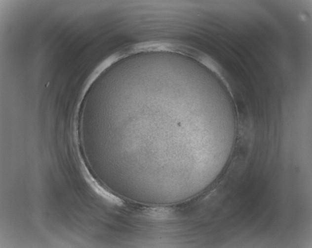 X0000081581090200701151236