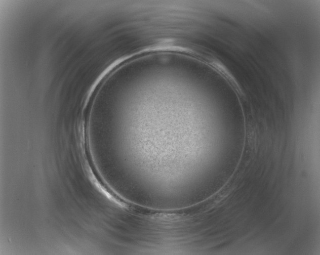 X0000081581092200701151236