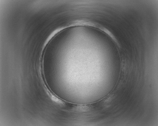 X0000081581094200701151236