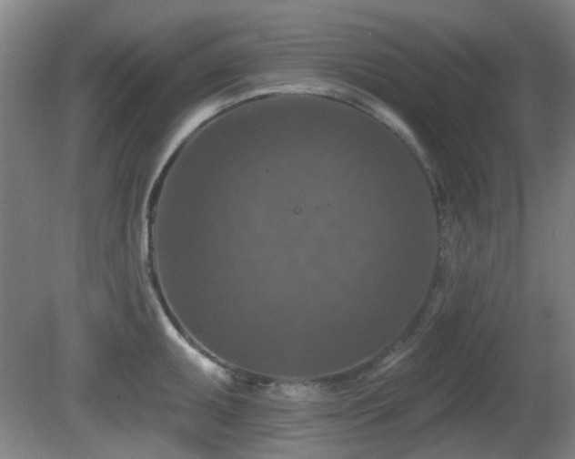 X0000081581095200701151236