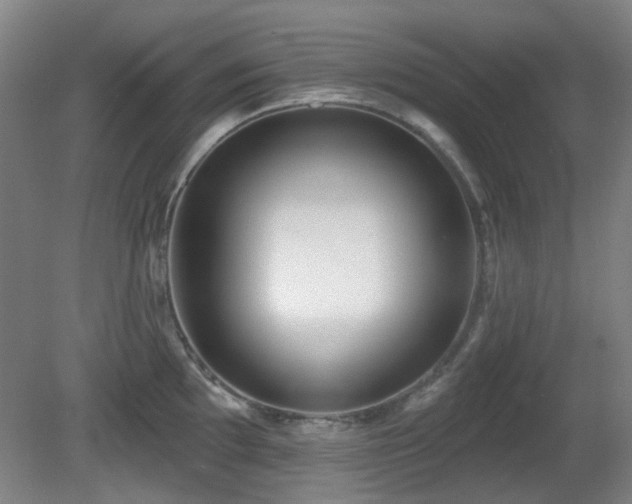 X0000081581097200701151236