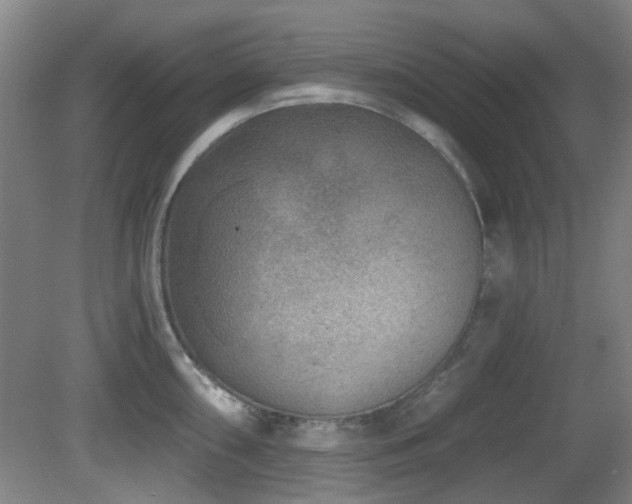 X0000081581098200701151236