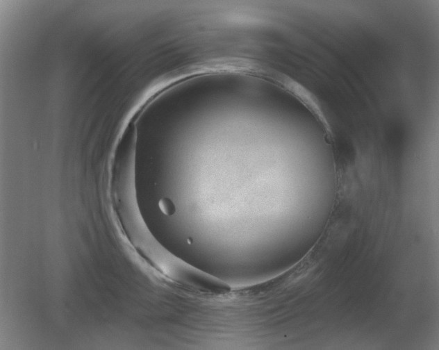 X0000081581099200701151236