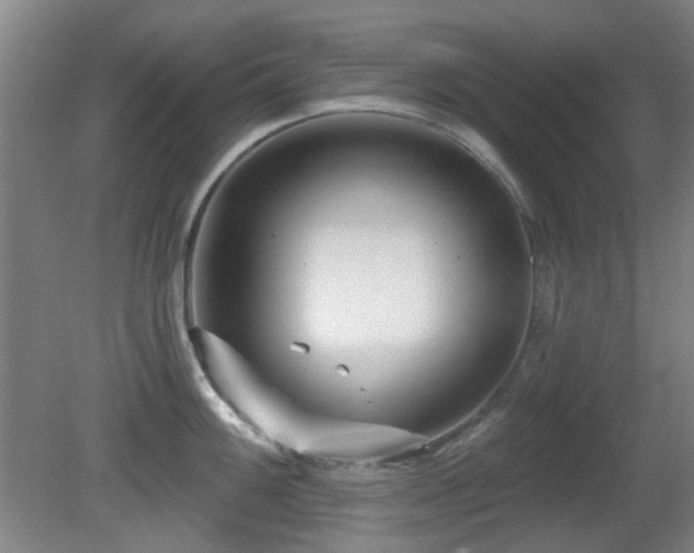 X0000081581100200701151236