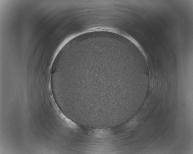 X0000081581102200701151236