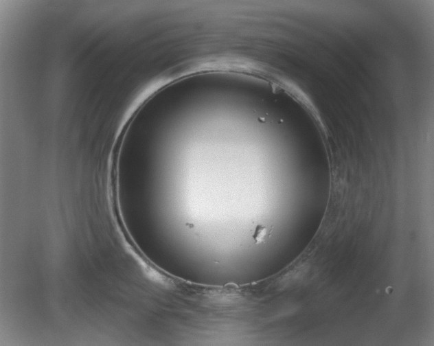 X0000081581103200701151236