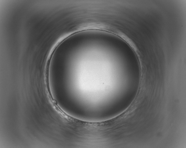 X0000081581104200701151236