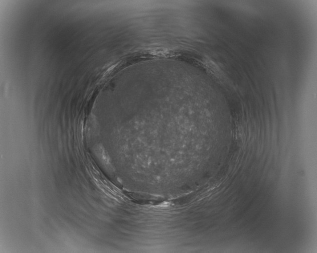 X0000081581106200701151235