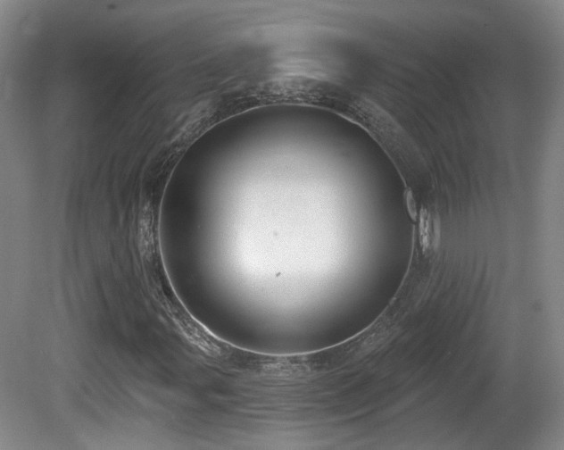 X0000081581107200701151235