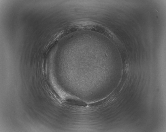 X0000081581108200701151235