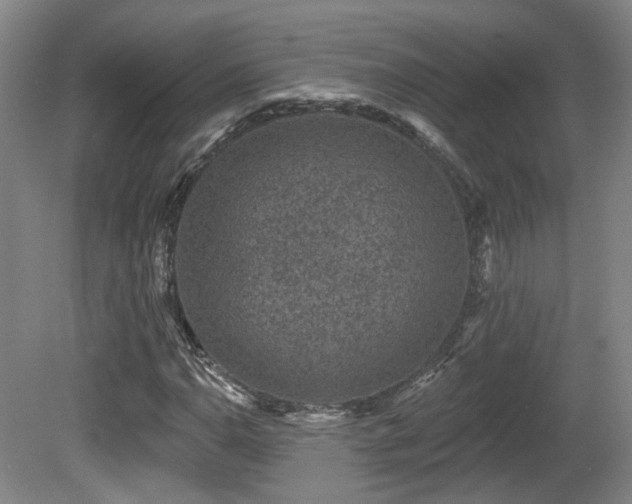 X0000081581110200701151235