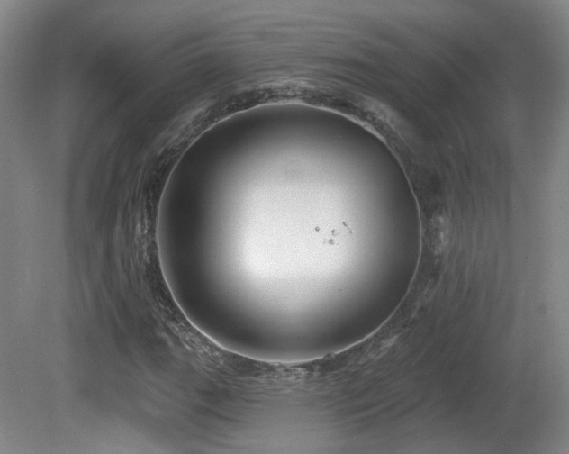 X0000081581111200701151236