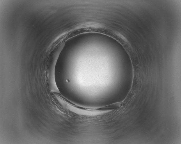 X0000081581112200701151236