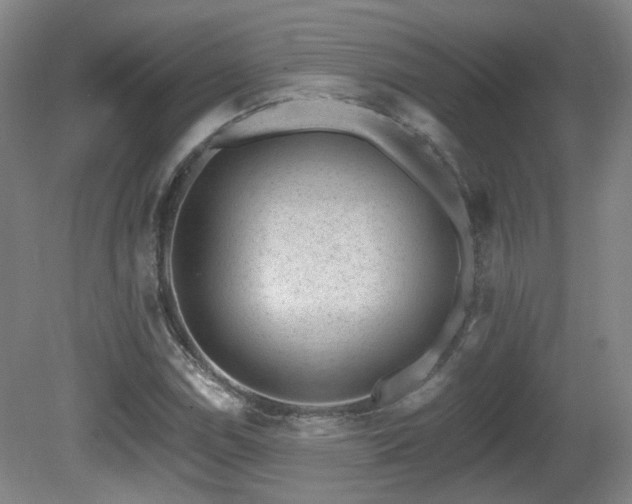 X0000081581114200701151236