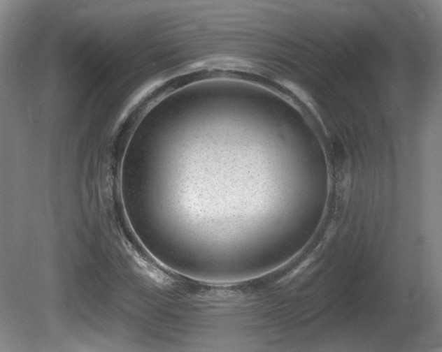 X0000081581115200701151236