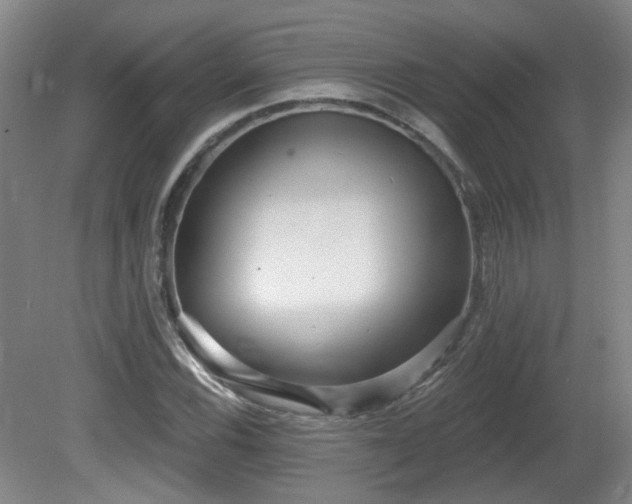 X0000081581116200701151236