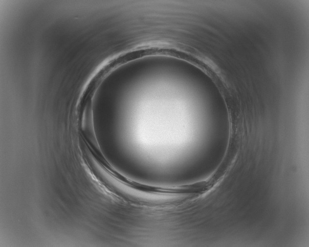 X0000081581118200701151236