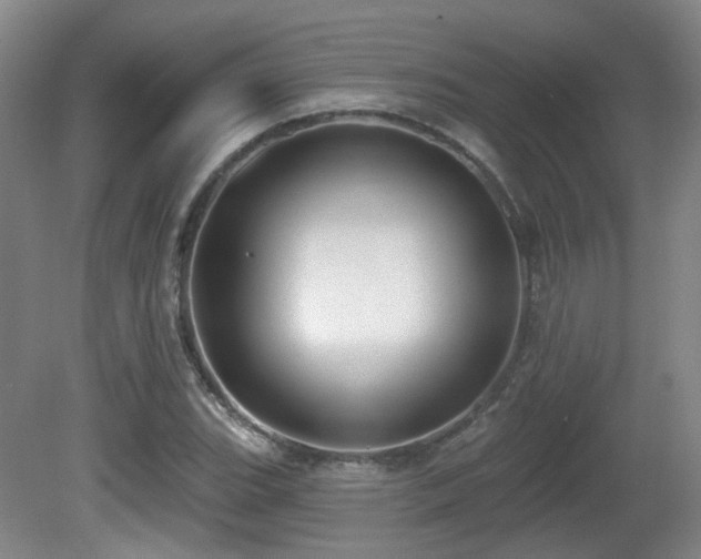 X0000081581119200701151236