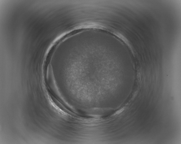 X0000081581120200701151236