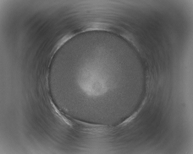 X0000081581121200701151236