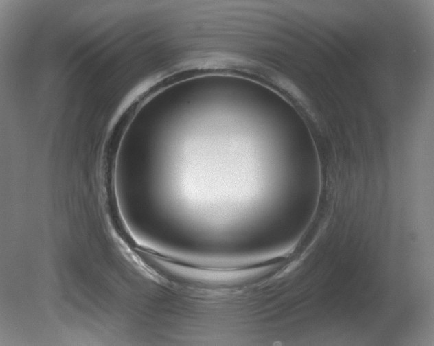 X0000081581122200701151236