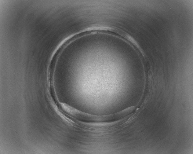 X0000081581124200701151236