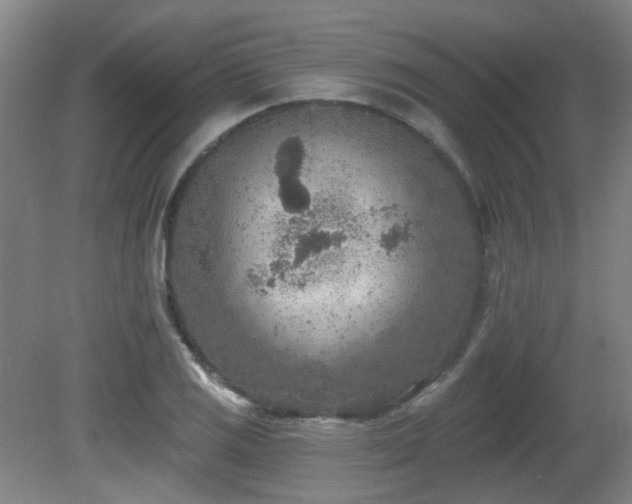 X0000081581125200701151236