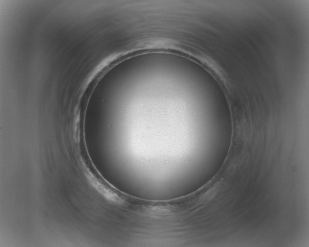 X0000081581126200701151236