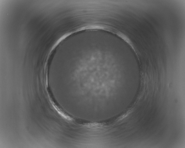 X0000081581127200701151236