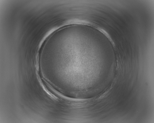 X0000081581128200701151236