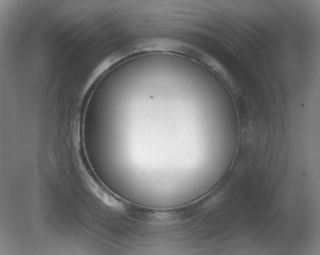 X0000081581130200701151236