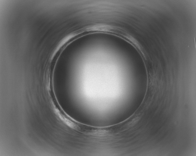 X0000081581131200701151236