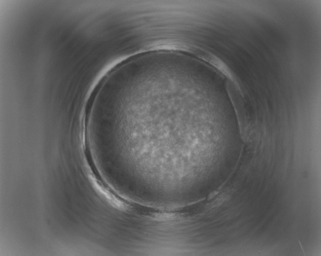 X0000081581132200701151236